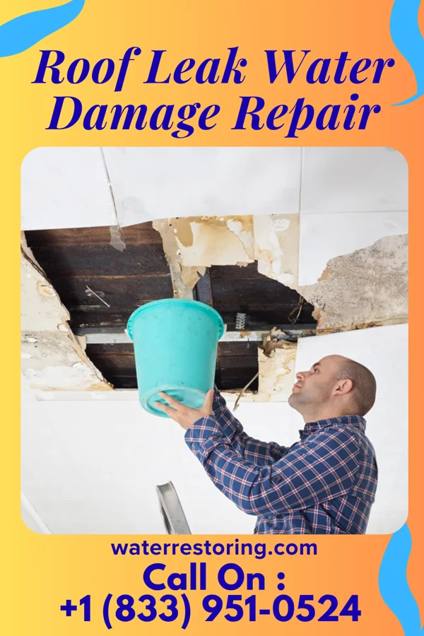 Roof Leak Water Damage Repair in Wimbledon, ND